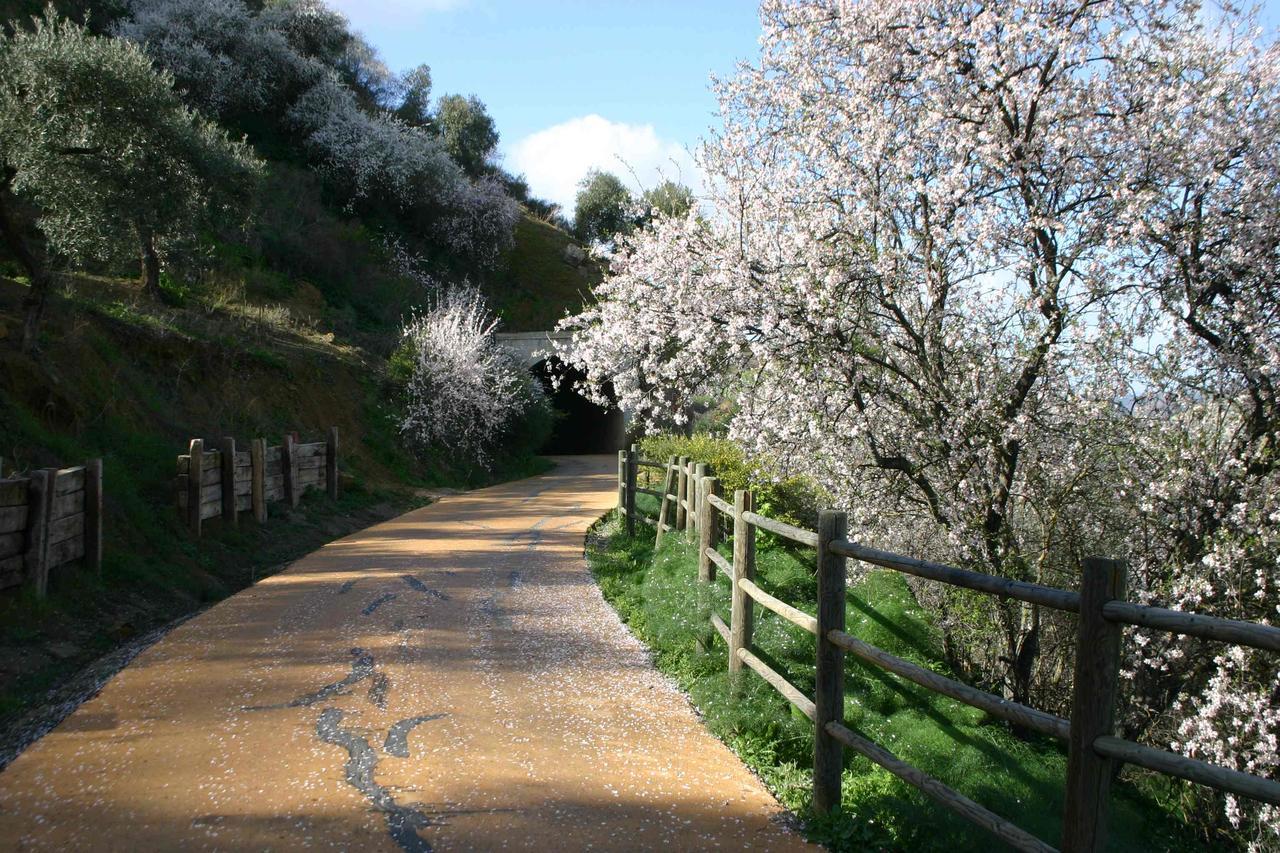 Hotel Puerta De La Sierra 푸에르토 세라노 외부 사진